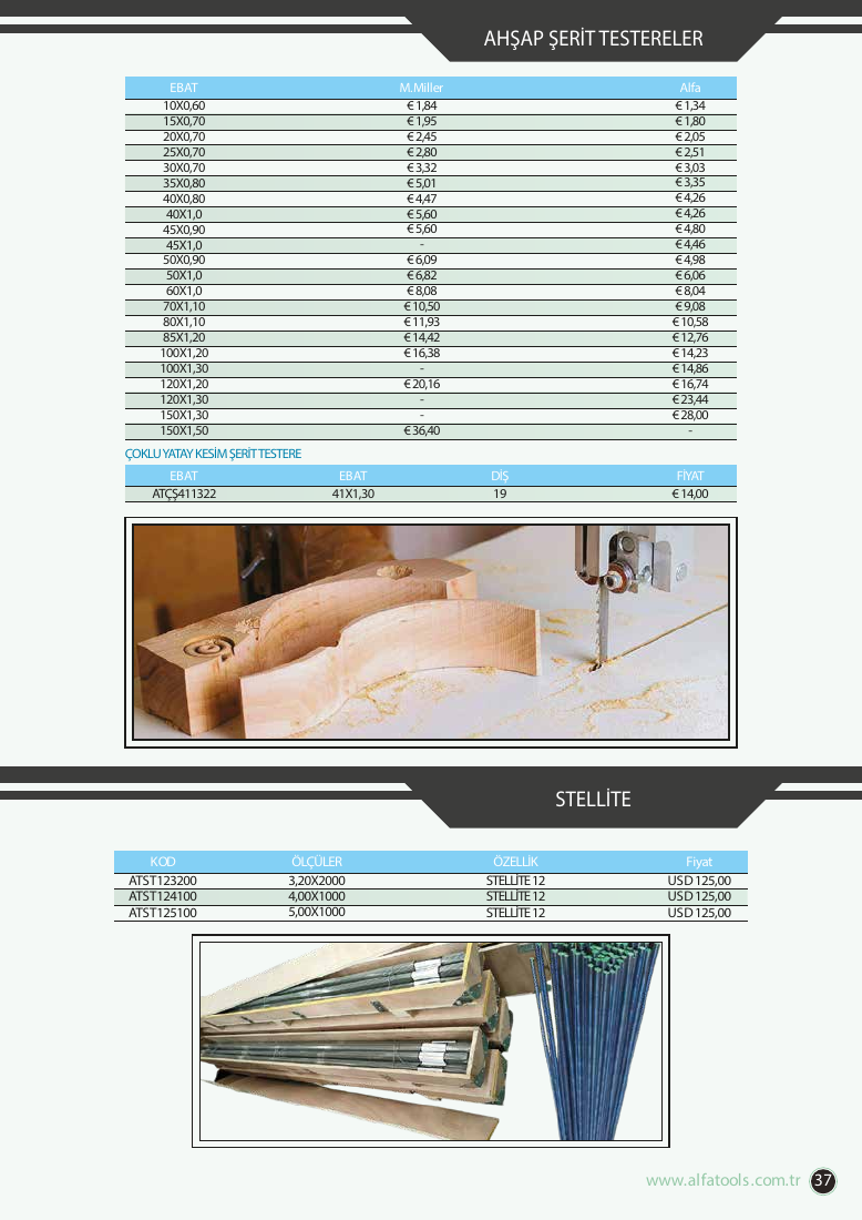 ÇOKLU YATAY KESİM ŞERİT TESTERE - ATST123200